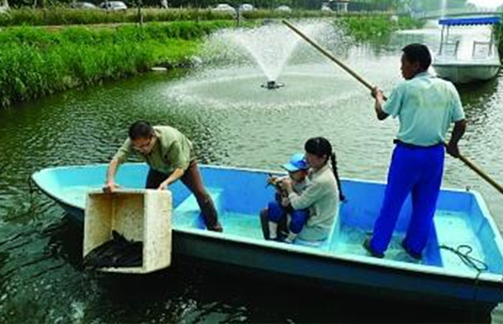環(huán)保達人幸福河放螺螄 目的在于凈化水質