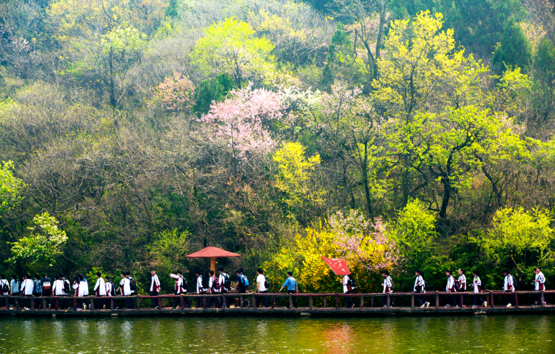 馬陵山“生態(tài)島”試驗區(qū)，實現(xiàn)生態(tài)經(jīng)濟(jì)“雙豐收”
