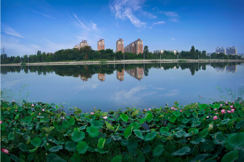 黃河故道邊，荒灘變成了生態(tài)樂(lè)園